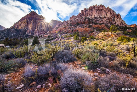 Picture of Sunset on a desert ridge in Red Rock Canyon near Las Vegas NV